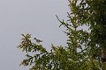 Imgp6597