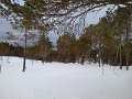 CAM00015