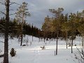 CAM00019