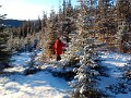 IMG_20130120_141300