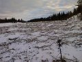 IMG_20130216_150627