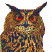 elgbakken007006.jpg