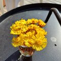 20240406_leirfivel