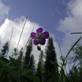 EPSN0039