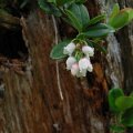 EPSN0045_2
